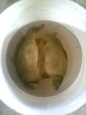 Прикрепленное изображение: Фото0026.jpg